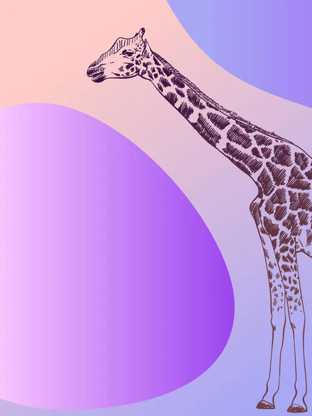 Minimalistisk Banner Med Giraff Skiss Och Abstrakta Strömlinjeformade Former Hand — Stock vektor