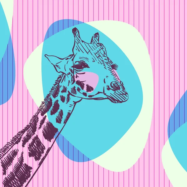 长颈鹿的头像画在蓝色和粉红色的颜色抽象流线型的条纹正方形背景 手绘矢量图解 — 图库矢量图片