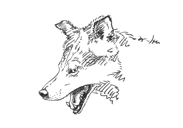 Dibujo Vectorial Cabeza Lobo Mandíbula Abierta Vista Lateral Depredador Animal — Vector de stock