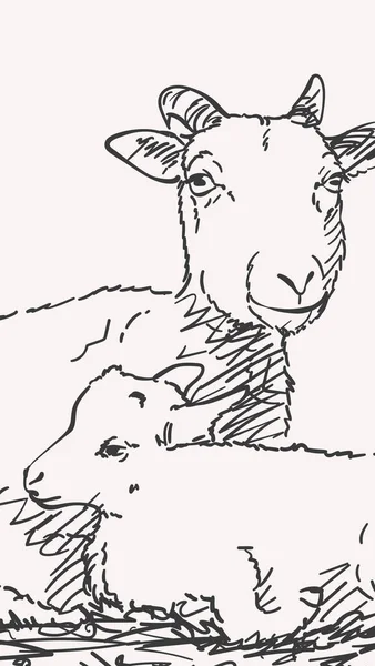 山羊与山羊结合手绘肖像 矢量垂直画图 — 图库矢量图片