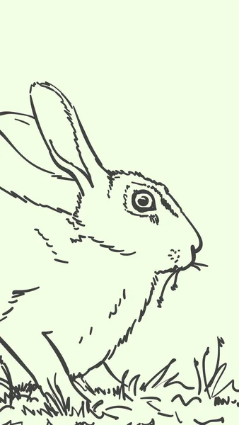 兔子吃草手绘图解 东方小兔子的矢量草图 — 图库矢量图片