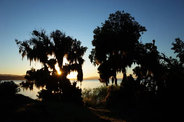 Natureza Chile Luz Noite Raios Sol Opostos Brilham Através Árvore — Fotografia de Stock