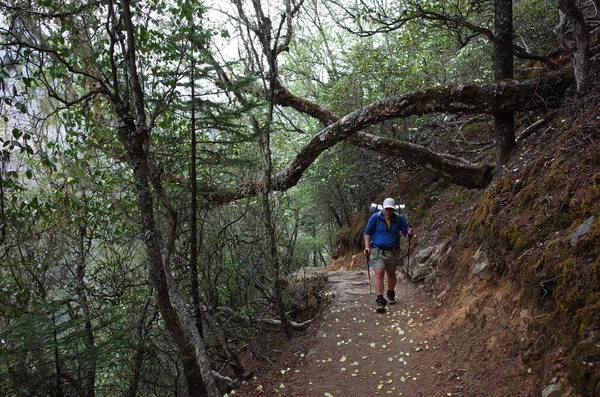 Nepal Himalayalar Yürüyüş Yapan Turist Rhododendron Ormanında Yürüyüş Yapıyor Namche — Stok fotoğraf