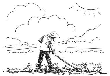 Vietnam şapkalı köylü sahada çalışır, el çizimi vektör çizimi