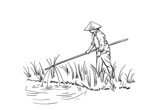 Woman Vietnamese Hat Fishing Lifting Net Bamboo Sticks Linear Sketch — Stock Vector