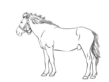 At çizimi, El çizimi vektör çizimi