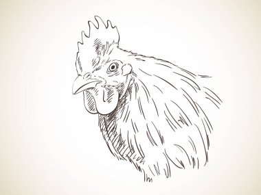 Elle çizilmiş horoz kafası, Vektör illüstrasyonu