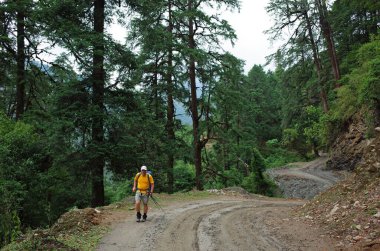 Nepal Himalayaları 'nda gezinti. Ringmu 'dan Salleri' ye yol yürüyüşü - Everest 'in alt kısmı