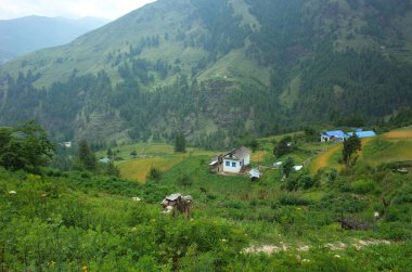 Himalayalar 'da küçük bir köy, Nepal