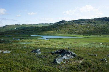 Sıcak yaz güneşli bir günde mavi gökyüzü ile İskandinavya 'nın kutup doğası. İsveç Laponya 'daki Dağ Gölü