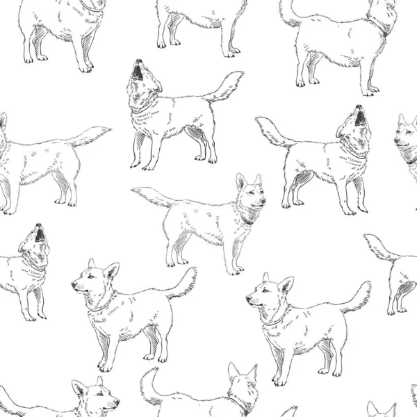 Patrón Vectorial Sin Costuras Con Boceto Dibujado Mano Perros Sobre — Vector de stock
