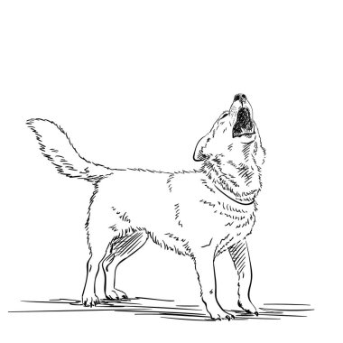 Uluyan bir köpeğin çizimi, el çizimi çizimi, çizgi sanatı.