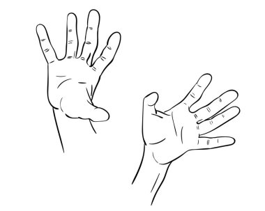 Sağ ve sol el çizimi, yayılmış parmaklar, el çizimi vektör çizimi, çizgi sanatı