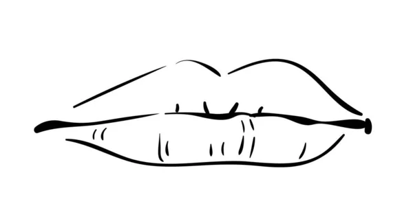Croquis Des Lèvres Illustration Vectorielle Dessinée Main Art Linéaire — Image vectorielle