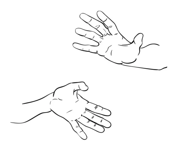 Desenho Mão Direita Esquerda Com Dedos Espalhados Ilustração Vetorial Desenhada —  Vetores de Stock
