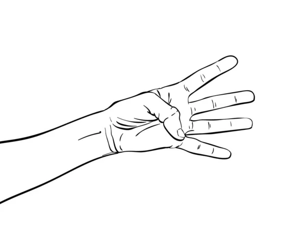 Рука Показывает Четыре Пальца Ручная Рисованная Векторная Иллюстрация Стиле Линейного — стоковый вектор