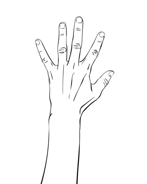 Hand Visar Fem Fingrar Hand Dras Vektor Illustration Linje Konst — Stock vektor