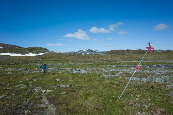 Senderismo Laponia Sueca Hombre Viajero Trekking Solo Nordkalottruta Arctic Trail —  Fotos de Stock