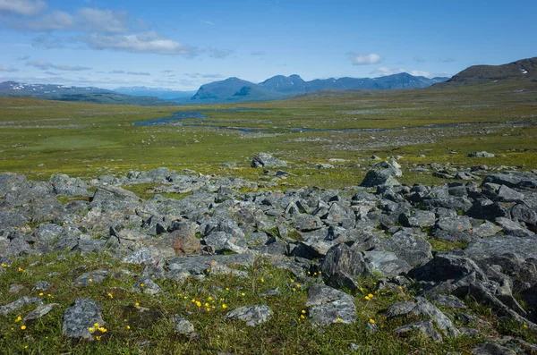 Natureza Ártica Escandinávia Verão Quente Dia Ensolarado Com Céu Azul — Fotografia de Stock