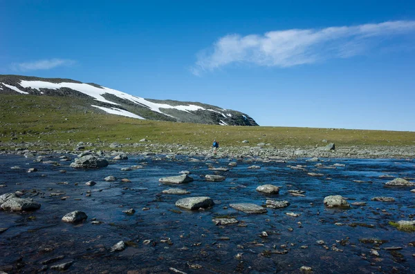 Senderismo Laponia Sueca Hombre Que Cruzar Río Trekking Solo Nordkalottruta —  Fotos de Stock