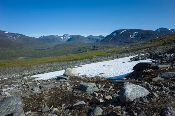 Szwedzki Krajobraz Lapoński Śniegiem Delikatną Roślinnością Arktyczne Środowisko Skandynawii Letni — Zdjęcie stockowe