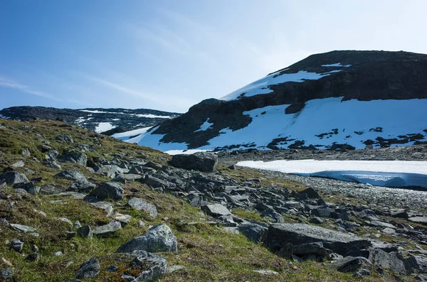 Paisaje Sueco Laponia Con Nieve Vegetación Frágil Ambiente Ártico Escandinavia —  Fotos de Stock