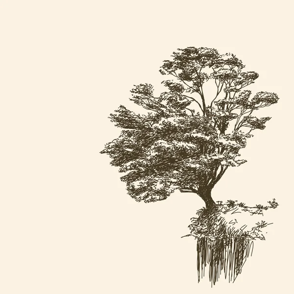 Árbol solitario en el acantilado — Archivo Imágenes Vectoriales