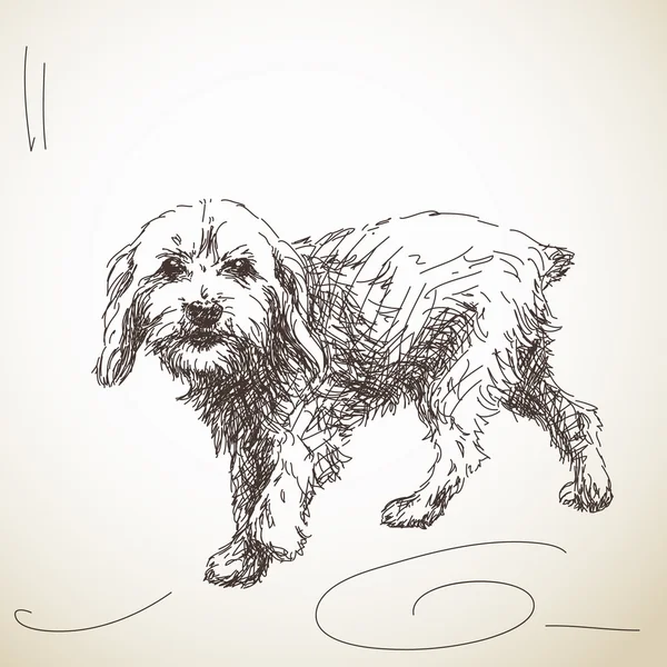 Sketch of puppy dog — Stockvector