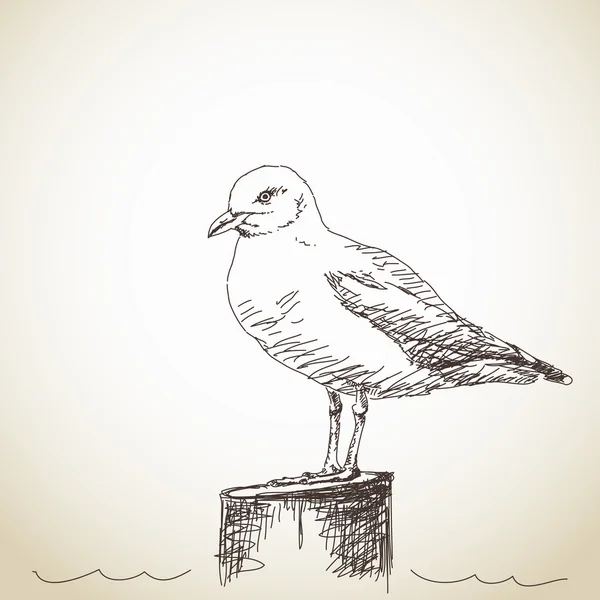 Sketch of Seagull isolated standing — Stockový vektor