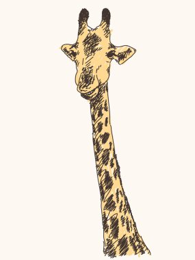 Zürafa elle çizilmiş illüstrasyon
