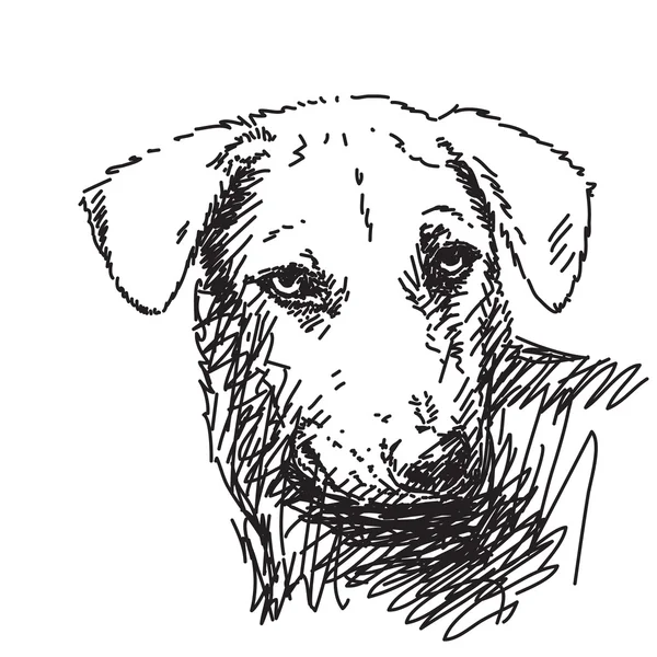 Sketch of dog portrait — Stock Vector