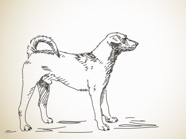 Elle çizilmiş kroki köpek