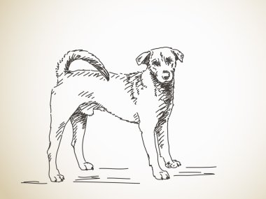 Elle çizilmiş kroki köpek