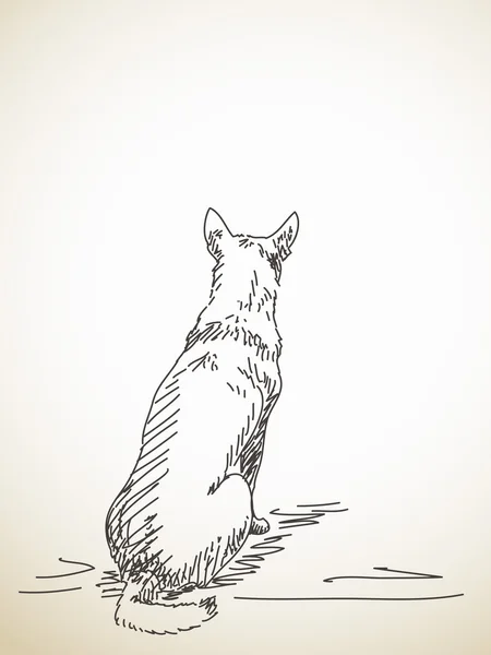 Náčrt sedící pes — Stockový vektor