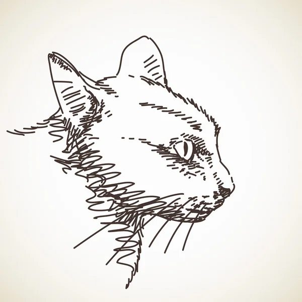 Desenho desenhado à mão de gato — Vetor de Stock