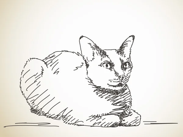 Gatto disegnato a mano — Vettoriale Stock