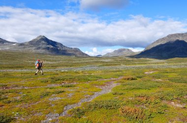 Arctic Lapland dağlarda trekking adam