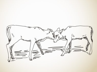 Sketch of butting calfs clipart