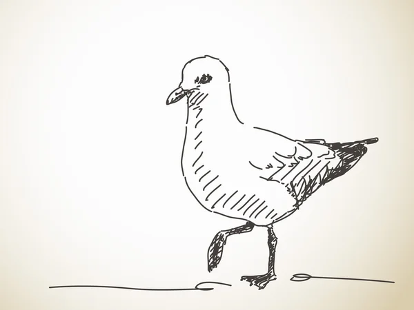 Bosquejo de Gaviota en el perfil — Vector de stock