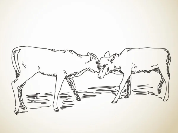 Schizzo di vitelli battenti — Vettoriale Stock