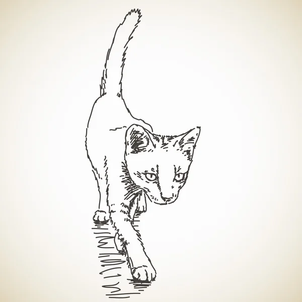 Χειροποίητο σκίτσο γάτας — Διανυσματικό Αρχείο