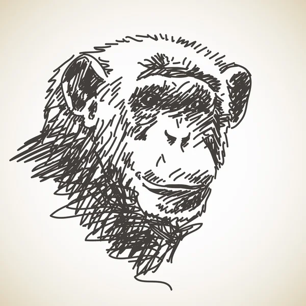 Bosquejo de la cabeza del chimpancé — Vector de stock