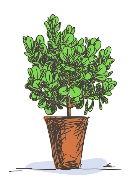 Σκίτσο του μικρό δέντρο — Διανυσματικό Αρχείο