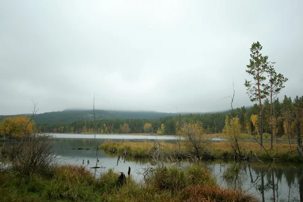 Lago y bosque de otoño — Foto de Stock