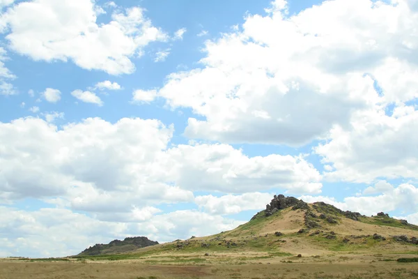 Hill covered with grass — Stock Photo, Image