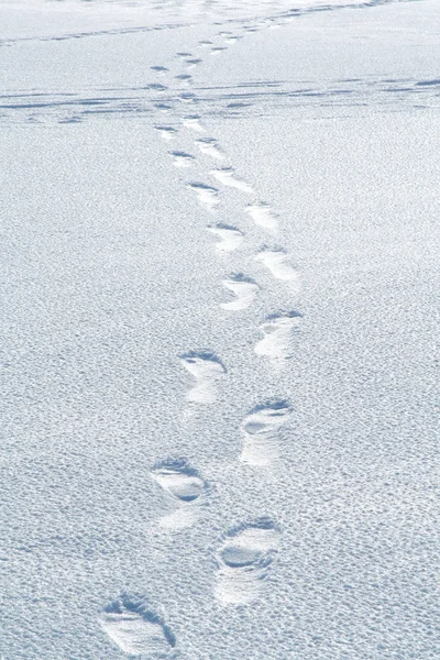 Vinter bana med spår — Stockfoto