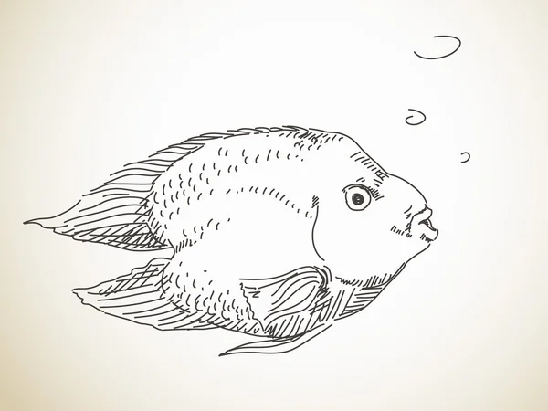 Schets van vis illustratie — Stockvector