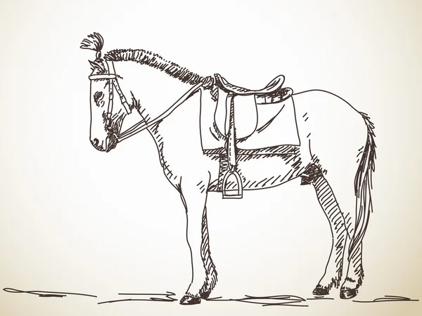 马手绘的草图 — 图库矢量图片