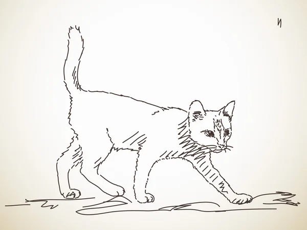 Ручная иллюстрация кота — стоковый вектор