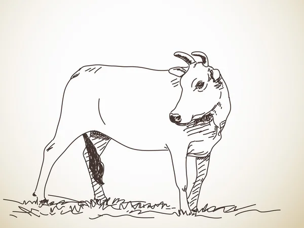 Ilustração desenhada à mão de vaca —  Vetores de Stock